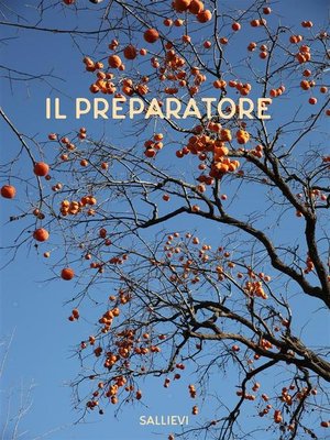 cover image of Il preparatore